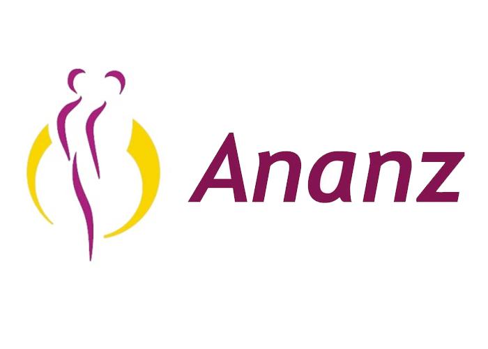 Ananz logo