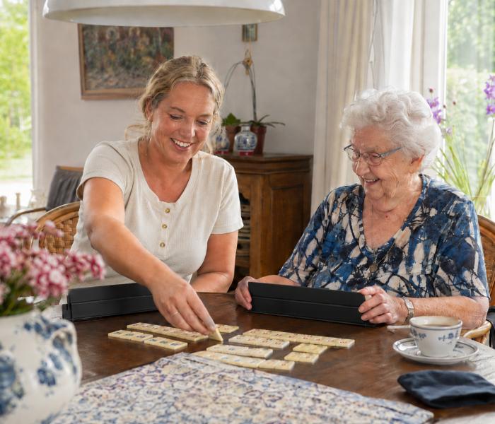 spelletje spelen