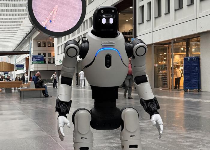 ivo volledig humanoid
