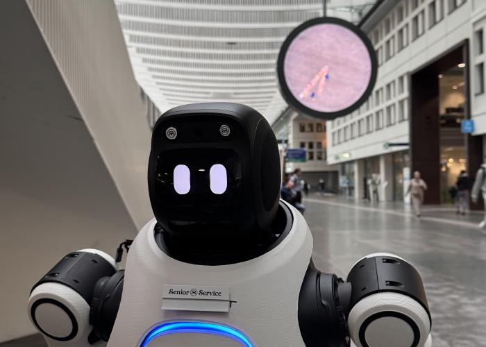Ivo humanoid Senior Service