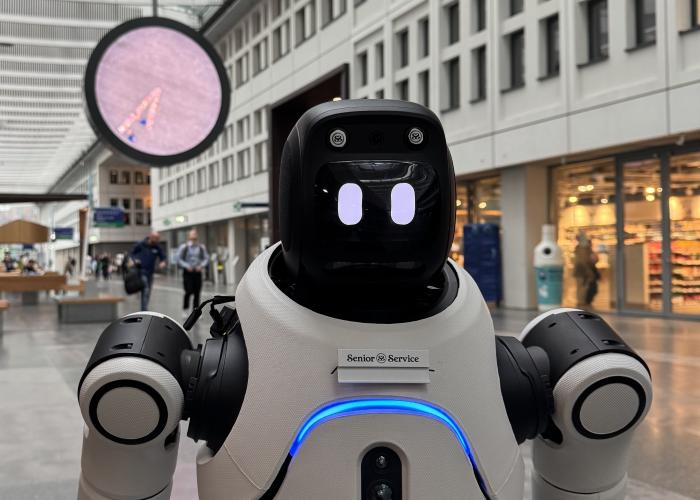 Ivo humanoid