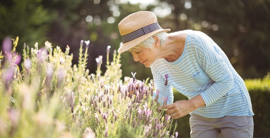 Oudere dame is aan het tuinieren