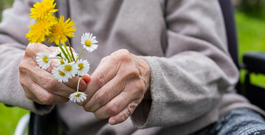 Hand van senior houdt bloemetjes vast