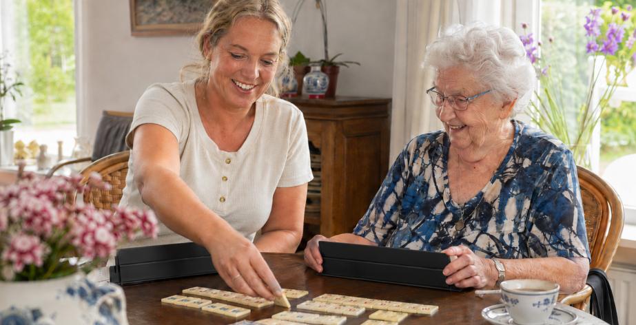 spelletje spelen